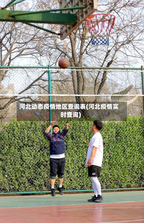 河北动态疫情地区查询表(河北疫情实时查询)-第1张图片