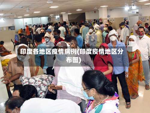 印度各地区疫情病例(印度疫情地区分布图)-第3张图片
