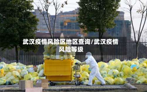 武汉疫情风险区地区查询/武汉疫情 风险等级-第1张图片