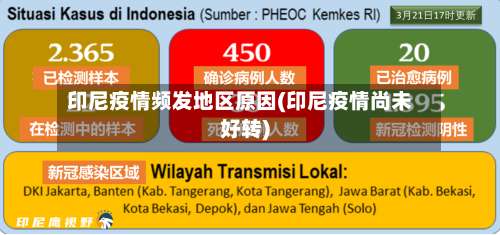 印尼疫情频发地区原因(印尼疫情尚未好转)-第2张图片