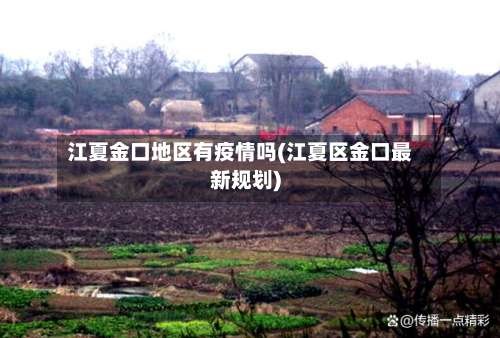 江夏金口地区有疫情吗(江夏区金口最新规划)-第1张图片