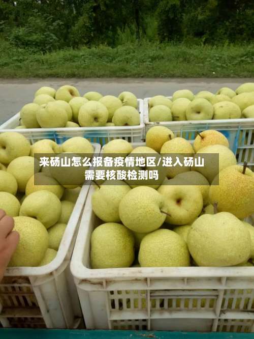 来砀山怎么报备疫情地区/进入砀山需要核酸检测吗-第1张图片