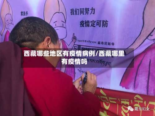 西藏哪些地区有疫情病例/西藏哪里有疫情吗-第3张图片