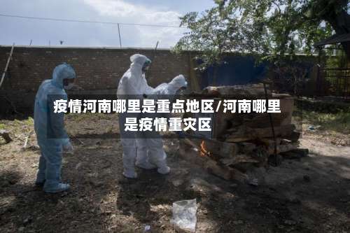 疫情河南哪里是重点地区/河南哪里是疫情重灾区-第2张图片