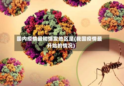 国内疫情最初爆发地区是(我国疫情最开始的情况)-第2张图片