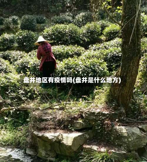 盘井地区有疫情吗(盘井是什么地方)-第1张图片