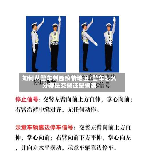 如何从警车判断疫情地区/警车怎么分辨是交警还是警察-第2张图片