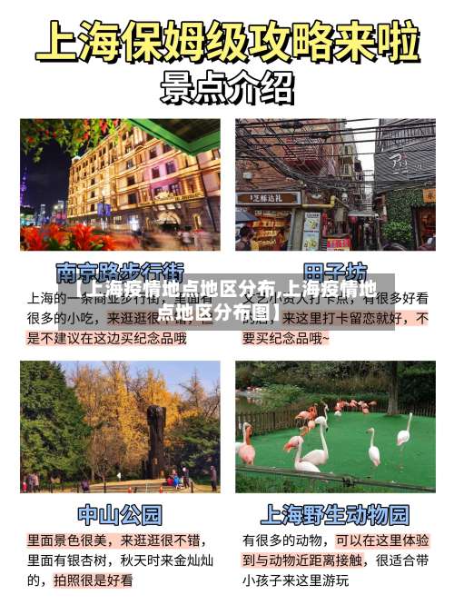 【上海疫情地点地区分布,上海疫情地点地区分布图】-第2张图片
