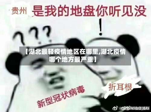 【湖北最轻疫情地区在哪里,湖北疫情哪个地方最严重】-第2张图片
