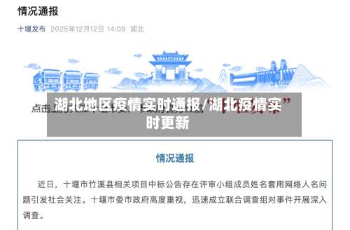 湖北地区疫情实时通报/湖北疫情实时更新-第2张图片