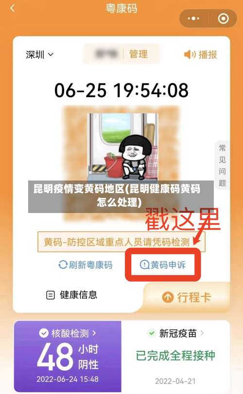 昆明疫情变黄码地区(昆明健康码黄码怎么处理)-第1张图片