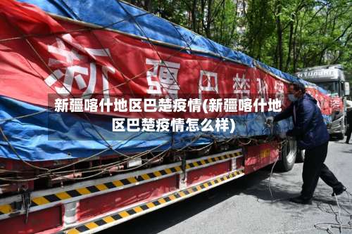 新疆喀什地区巴楚疫情(新疆喀什地区巴楚疫情怎么样)-第2张图片